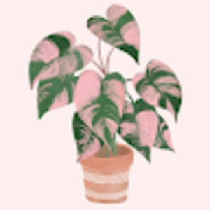 Meet your Posher, Lee ann